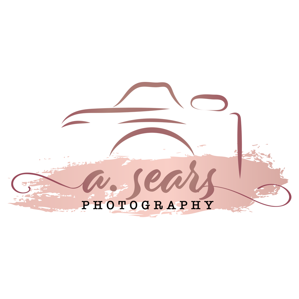 A. Sears Photography Logo featuring a pink paint splash with darker pink stylized text and stylized image of an SLR camera.
